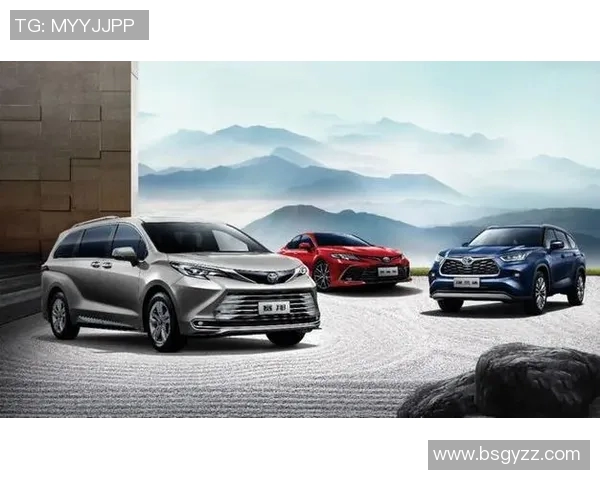 成都排球队的转型之路洲际杯特别报道展现新风貌与挑战